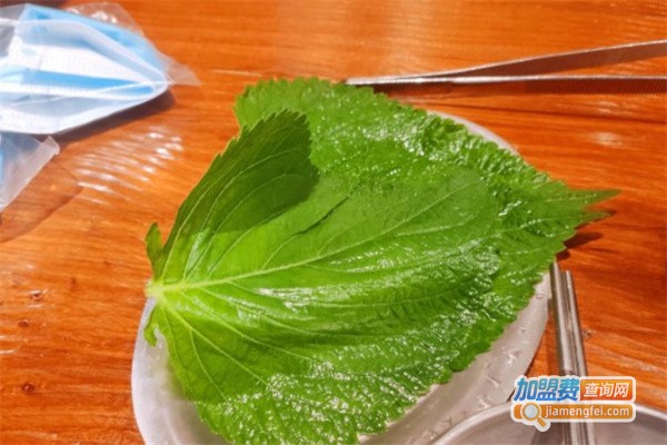 明洞的夏天加盟费