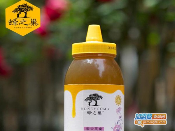蜂之巢加盟