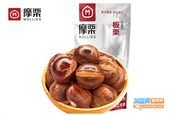 摩栗加盟费