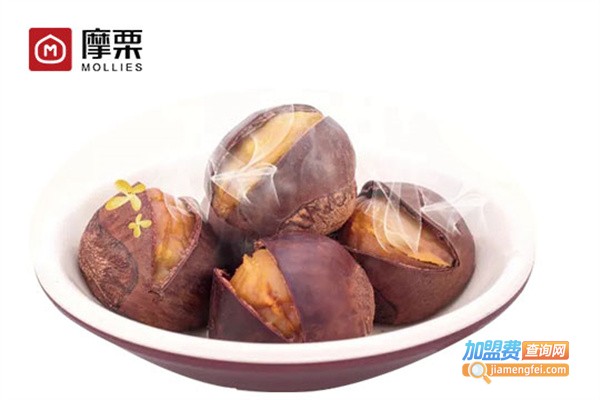 摩栗加盟费