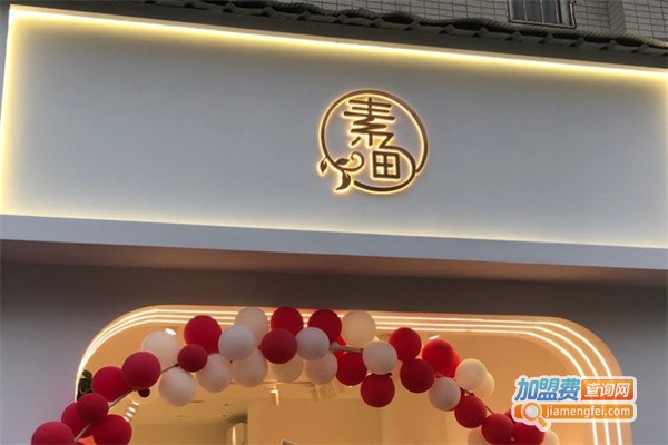 素甸女装加盟费