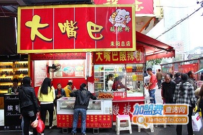 大嘴巴酸辣粉加盟
