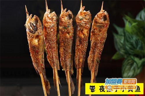 夜猫子小黄鱼加盟