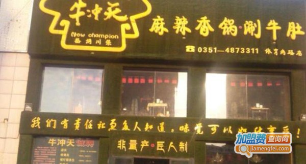 牛冲天加盟费