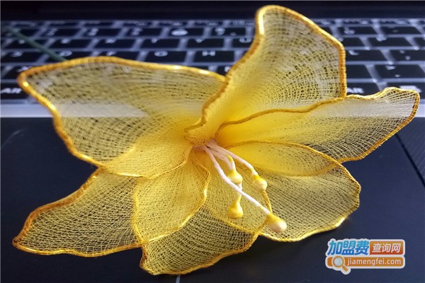丝网花加盟