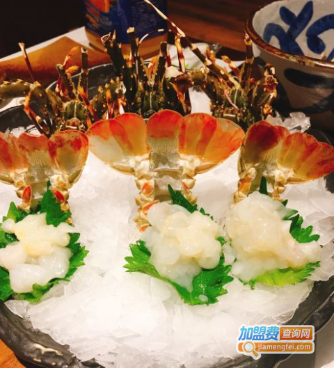 芥末日本料理加盟费