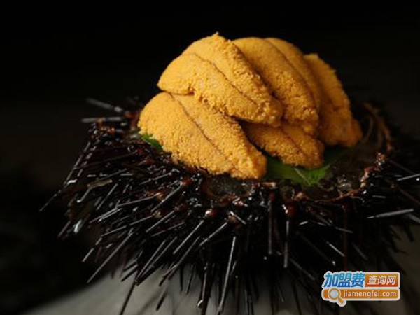紫料亭加盟费