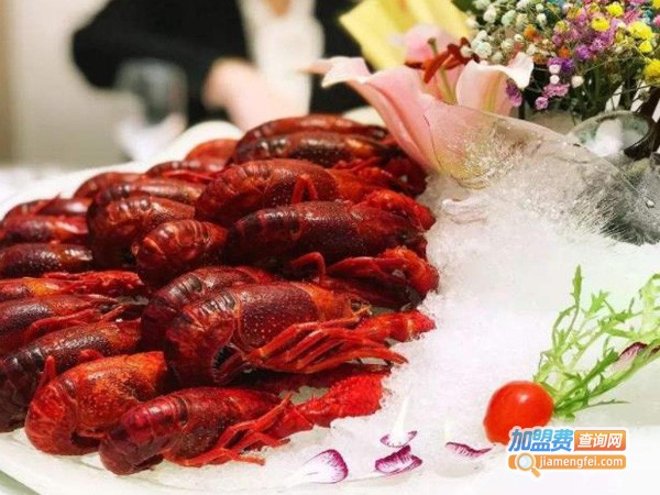 虾虾侬加盟费