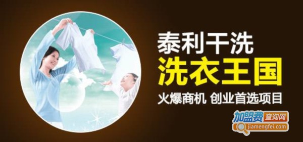 泰利干洗加盟费