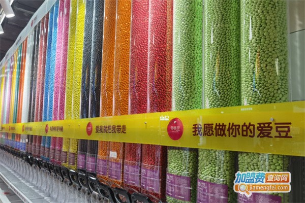 甲壳豆加盟费