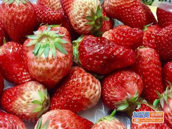 新隆嘉水果超市加盟费