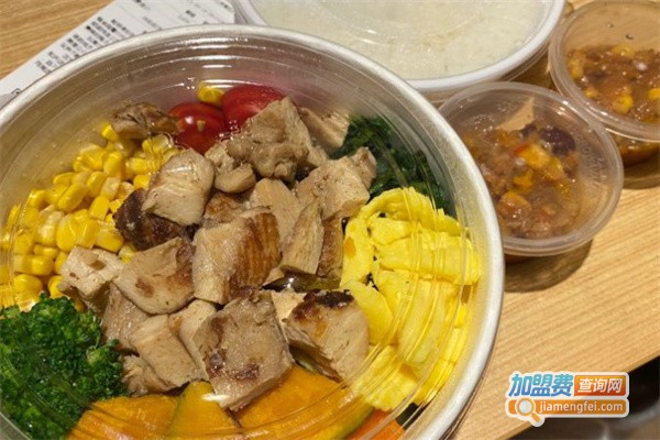 麦田归来轻食加盟费