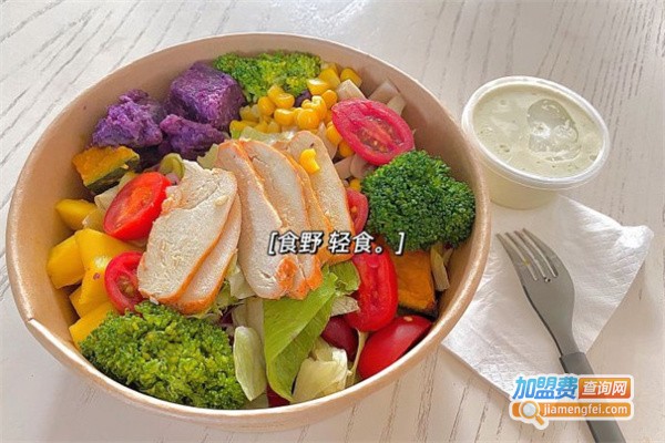 食野创意轻食加盟费