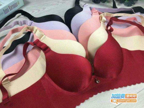 ELLE内衣加盟费