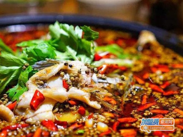 鱼锅锅加盟费
