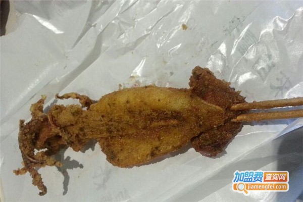鱿鱼乐轰炸大鱿鱼加盟费
