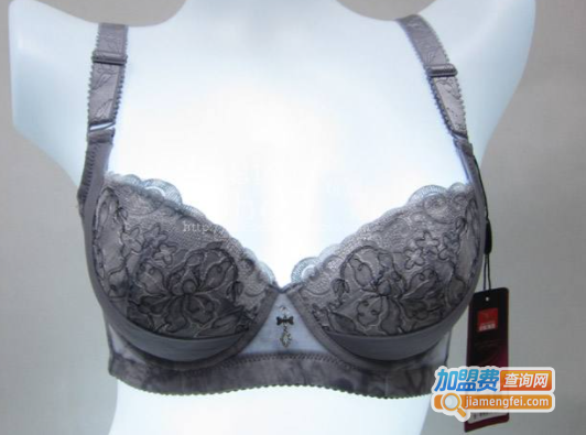 金莱芬加盟费