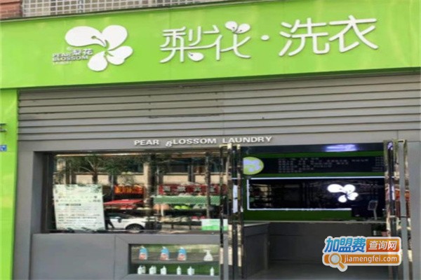 梨花干洗店加盟费