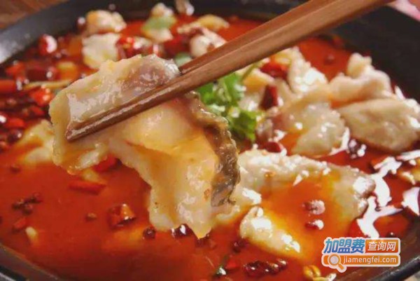 鱼帮主加盟费