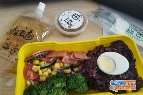 森亩轻食加盟费
