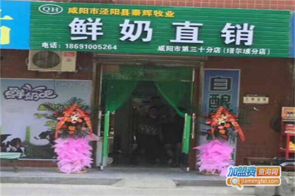 秦辉牧场鲜奶加盟费