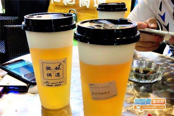 他她偶遇加盟费