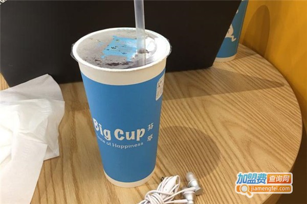 BigCup芬萃