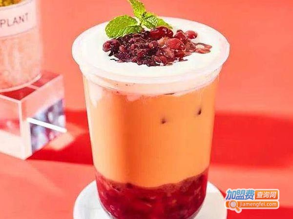 朵咪奶茶加盟费