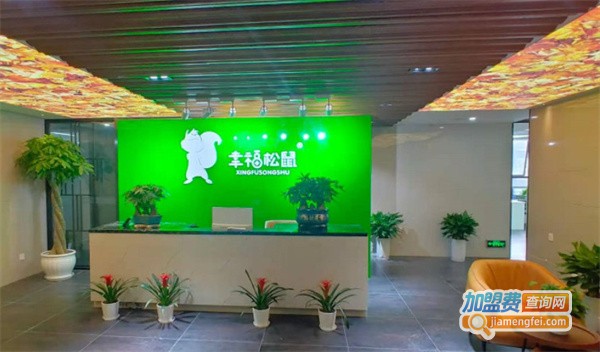 幸福松鼠加盟