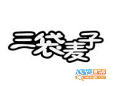 三袋麦子零食加盟电话
