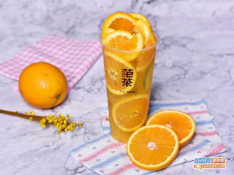 范茶加盟费