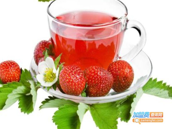 莓逗加盟费