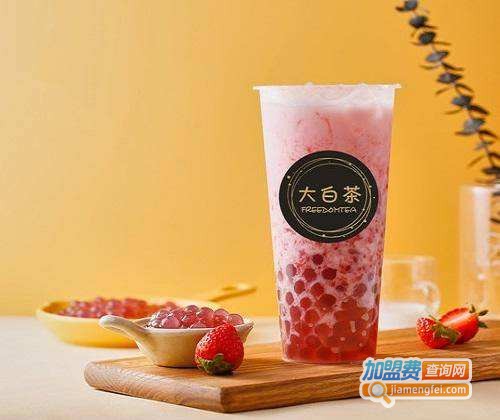 大白茶加盟费