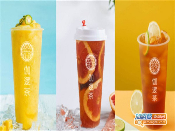 伽逻茶加盟费