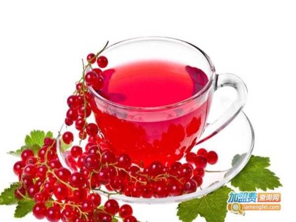 小龙茶加盟费