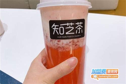 知芝茶加盟费