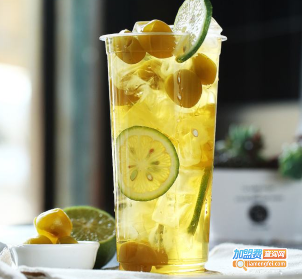 Nice tea丽茶加盟费