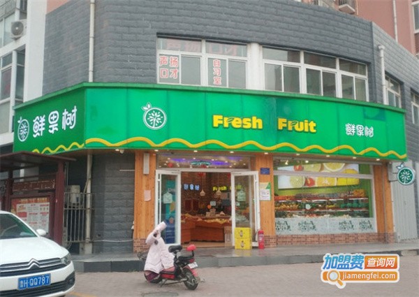 鲜果树水果店加盟费