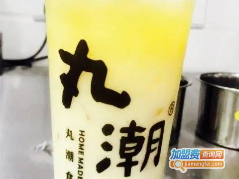 丸潮食茶加盟费