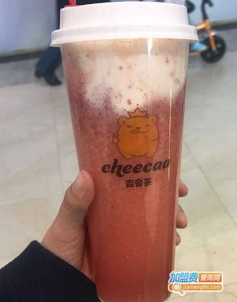 吉舍茶加盟费