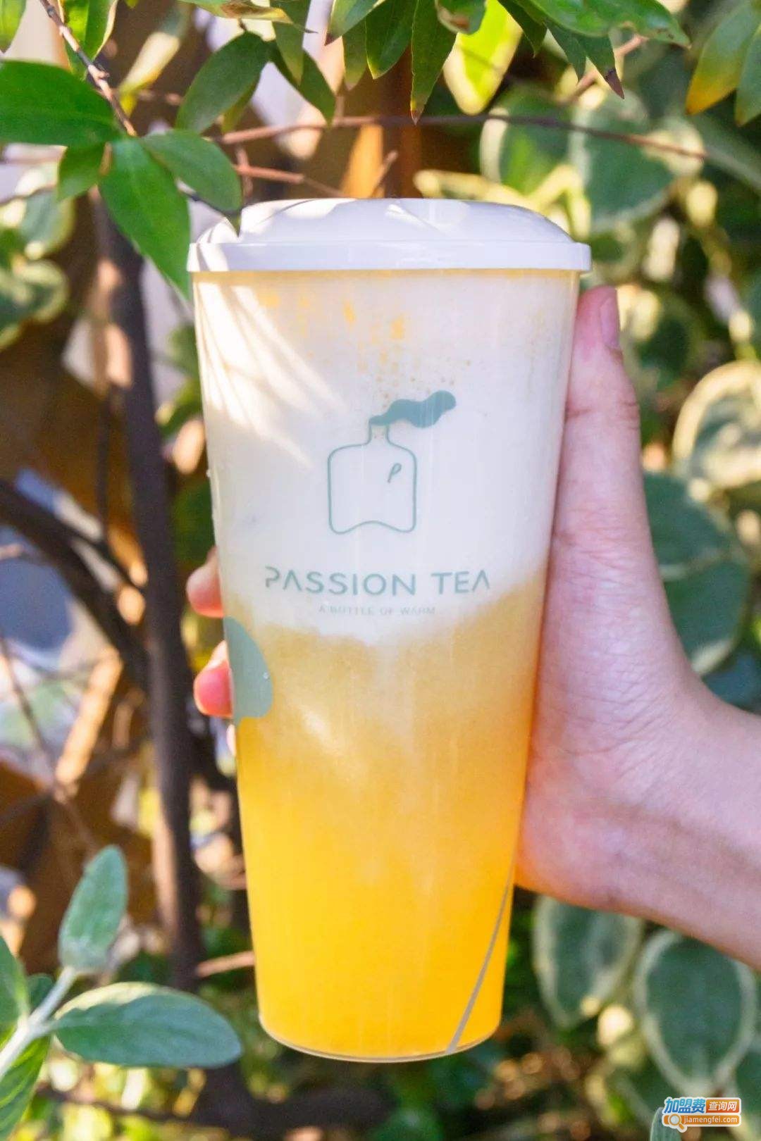 passion tea加盟费