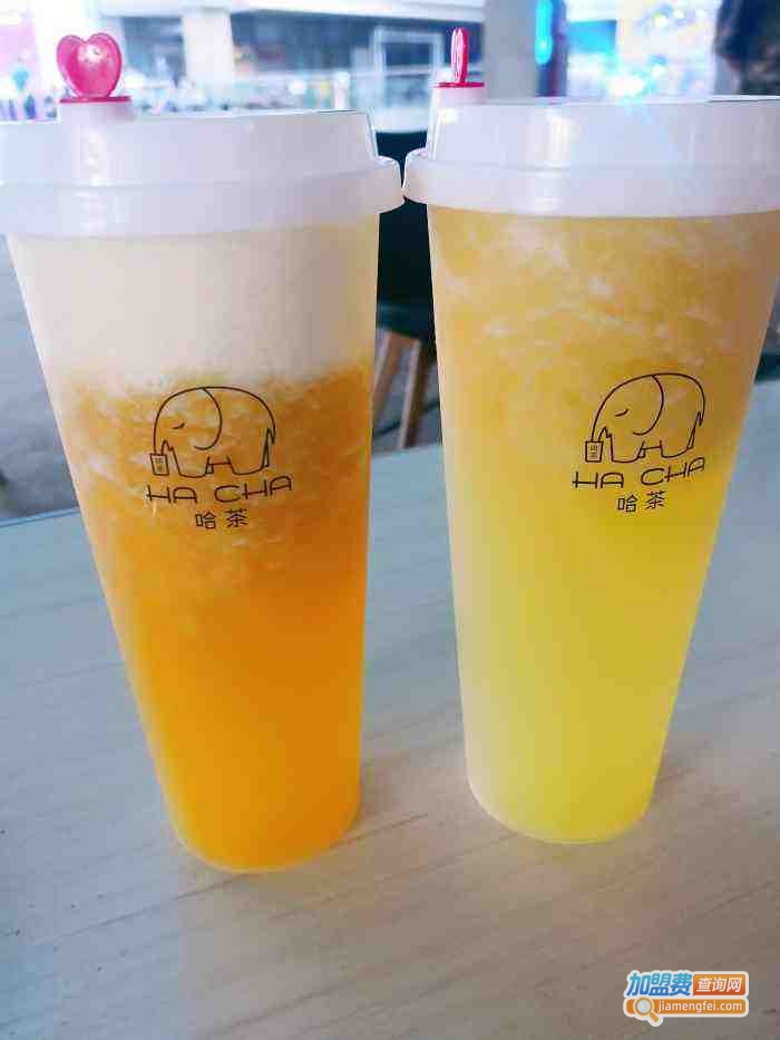 哈茶茶饮加盟费