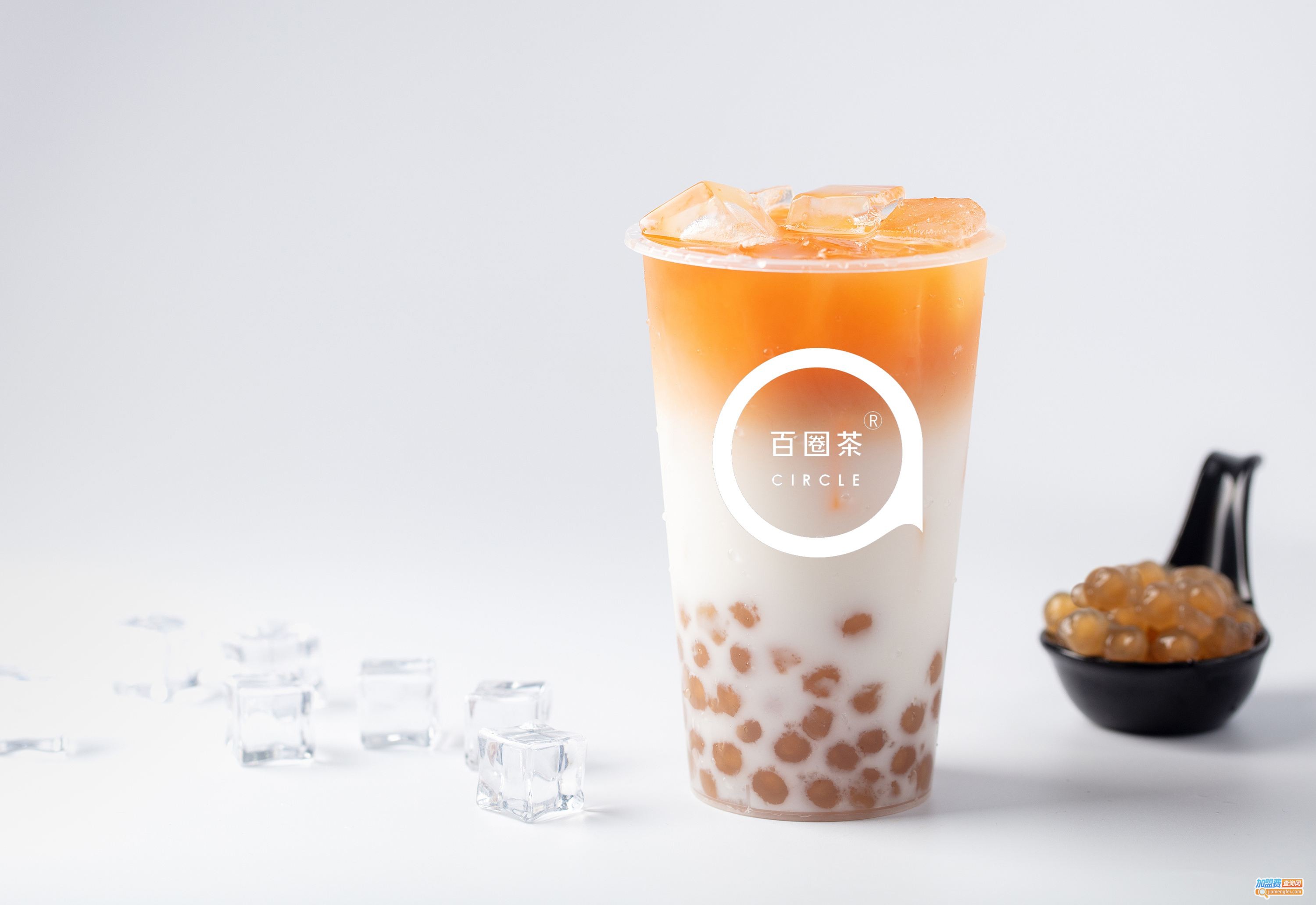 百圈茶加盟费