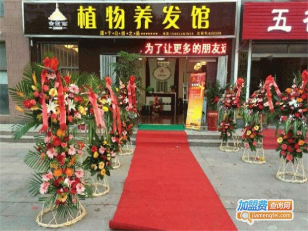 金紫丽植物养发馆加盟费