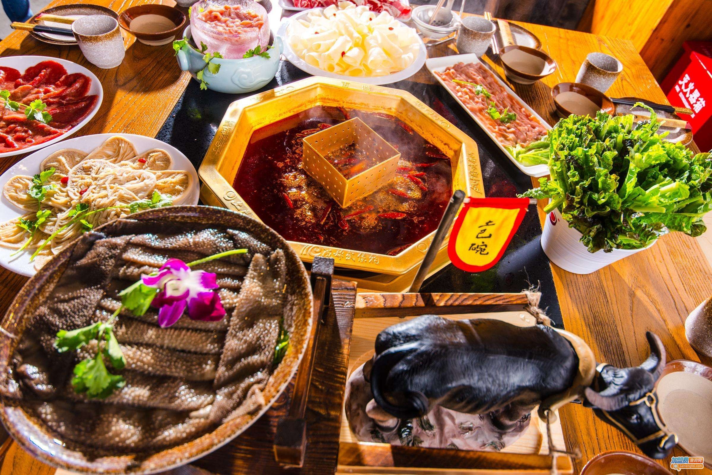 土巴碗火锅加盟费