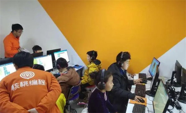 核桃星球少儿编程加盟费