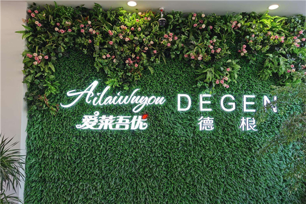 爱莱吾优女装加盟费