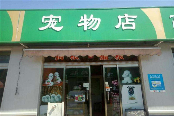 宠物店加盟费