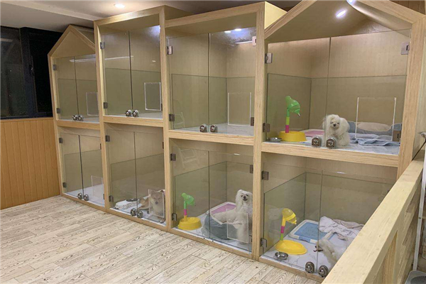 宠物店加盟