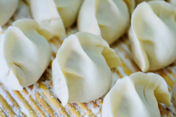 骆驼饺子馆加盟